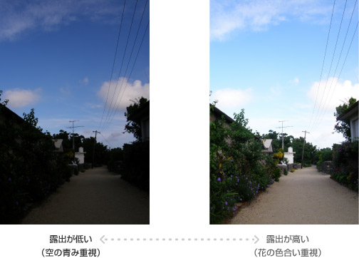 露出の高低による画像の違い