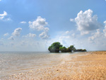 ハイダイナミックレンジ写真 - 砂浜がフジツボみたいな@西表島